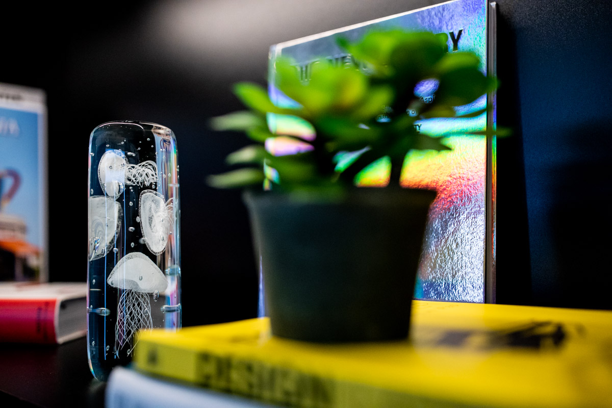 Accor at IHIF Berlin 2021 — Detail photography Close view of a succulent and decorative objects in the exhibition display at IHIF Berlin 2021
